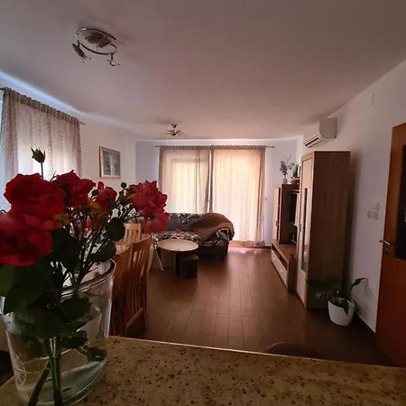 Ljubo Apartment *